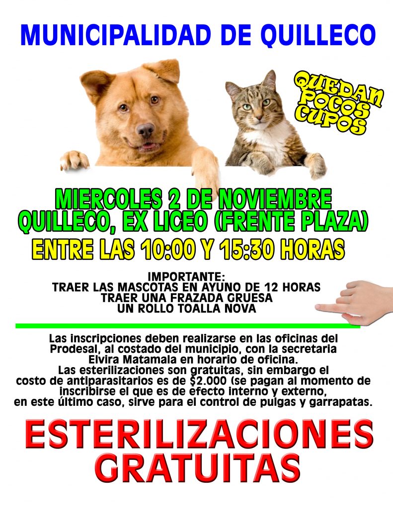 esterilizaciones-copia