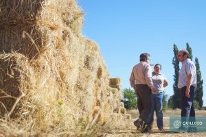 Entrega forraje agricultores_incendios_febrero 2017-3