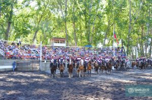 rodeo huaso federado febrero 2017-10