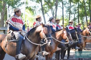 rodeo huaso federado febrero 2017-12