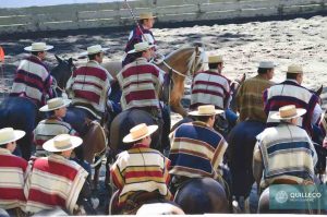 rodeo huaso federado febrero 2017-2