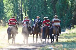 rodeo huaso federado febrero 2017