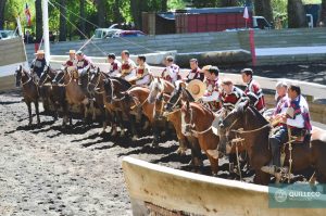 rodeo huaso federado febrero 2017-4