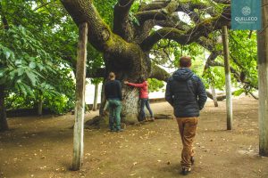 SPC visita Quilleco2017-2