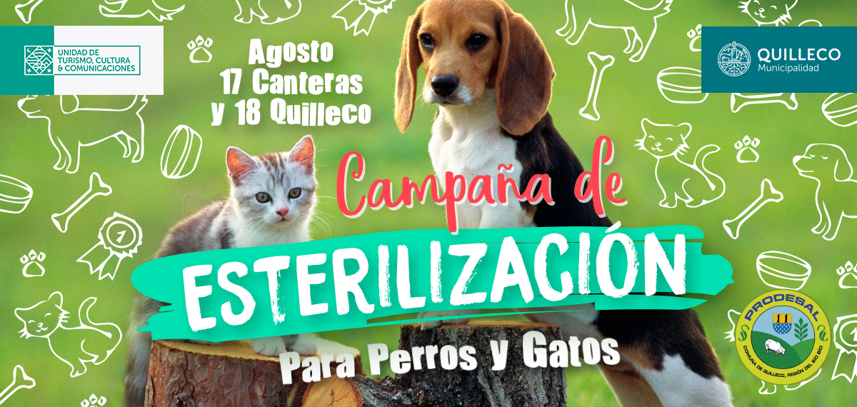 3ra Etapa de la Campaña de esterilización Canina – Felina