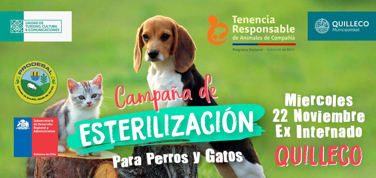 Comienza 5ta Campaña de esterilización para perros y gatos