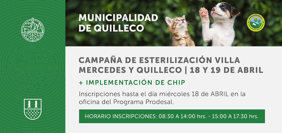 En abril Villa Mercedes se suma como nueva fecha en la campaña de esterilización para perros y gatos