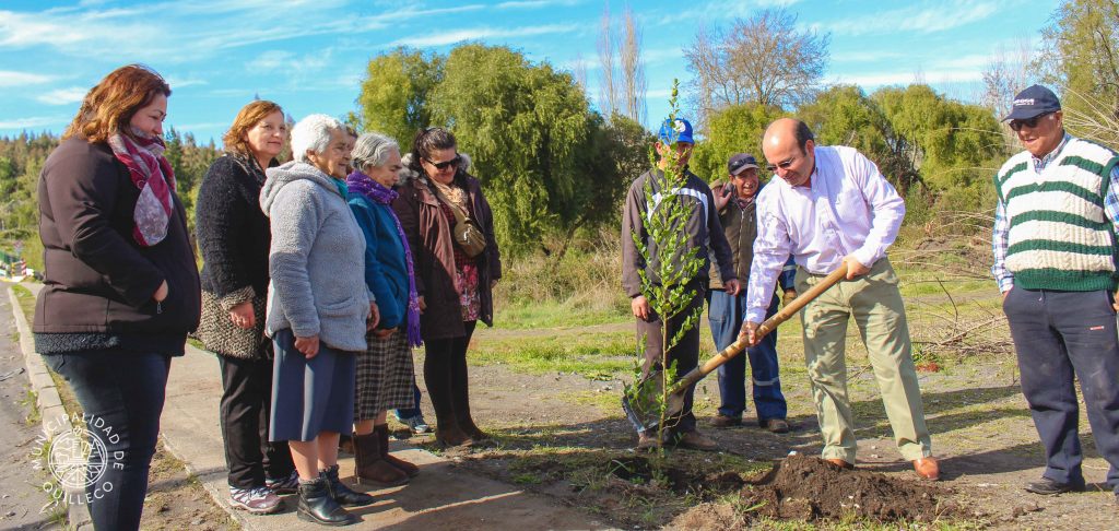 WEB reforestación PSL Quilleco 2018