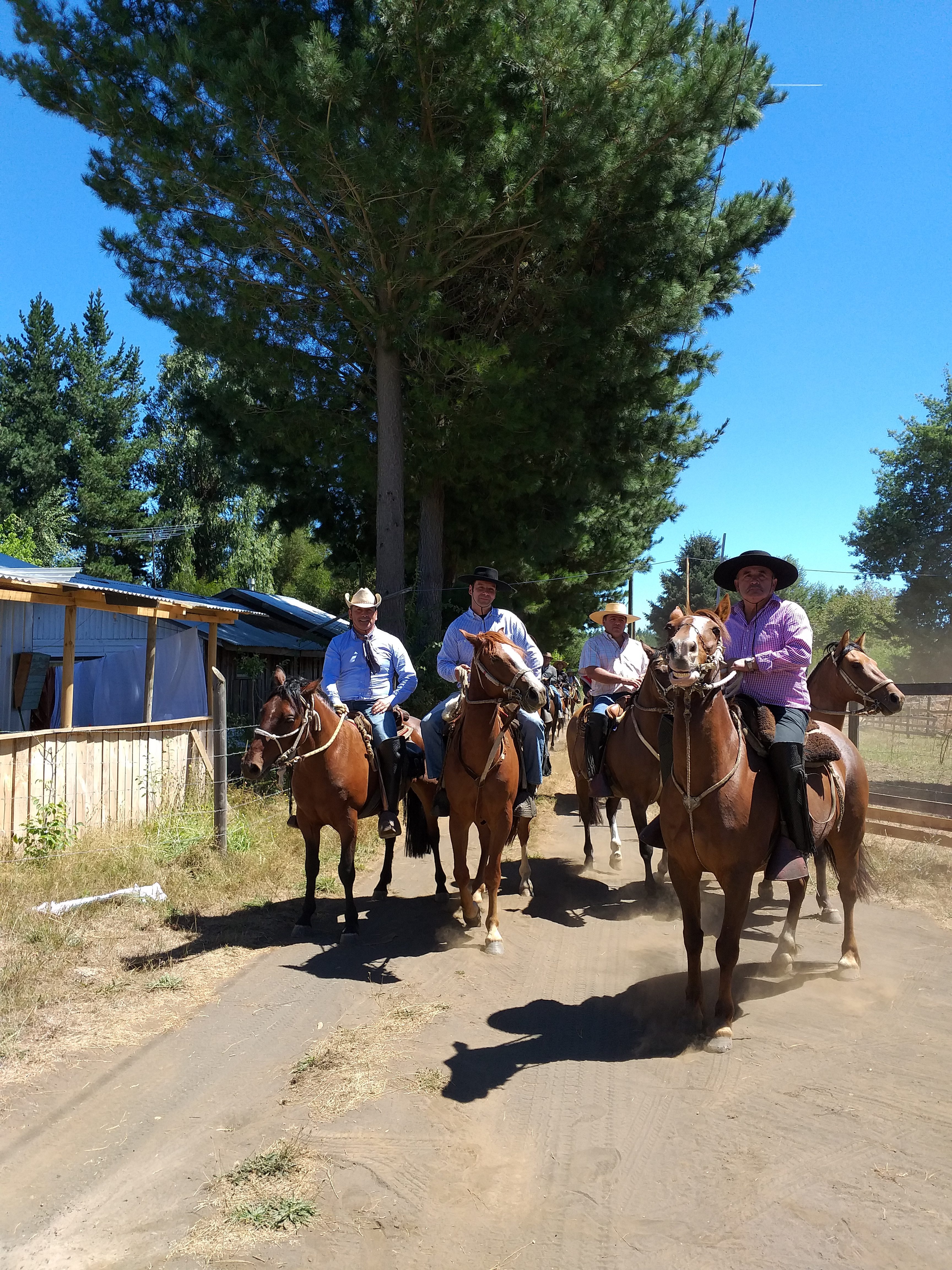 Milicianos de la Laja recorren Villa Las Flores Villa Mercedes y Canteras potenciando las tradiciones chilenas