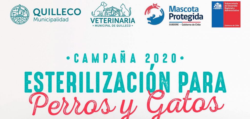 WEB Campaña esterilizacion FEB 2020